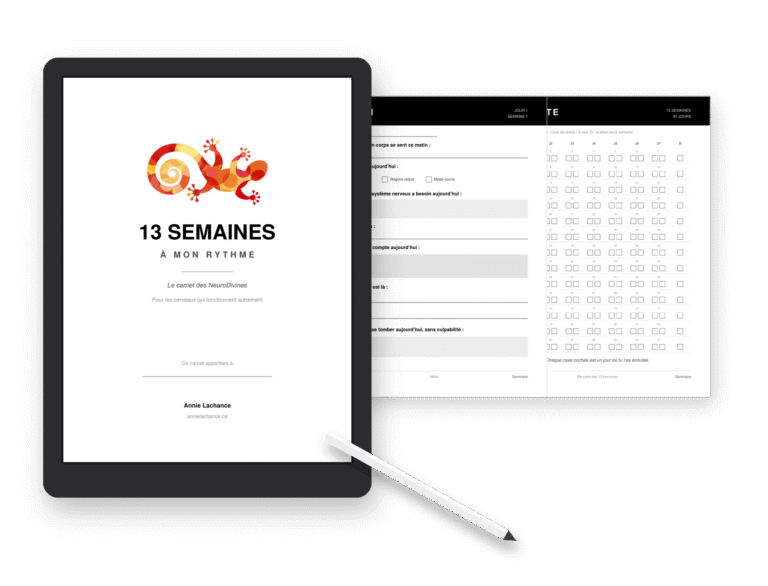 carnet 13 semaines Annie Lachance
