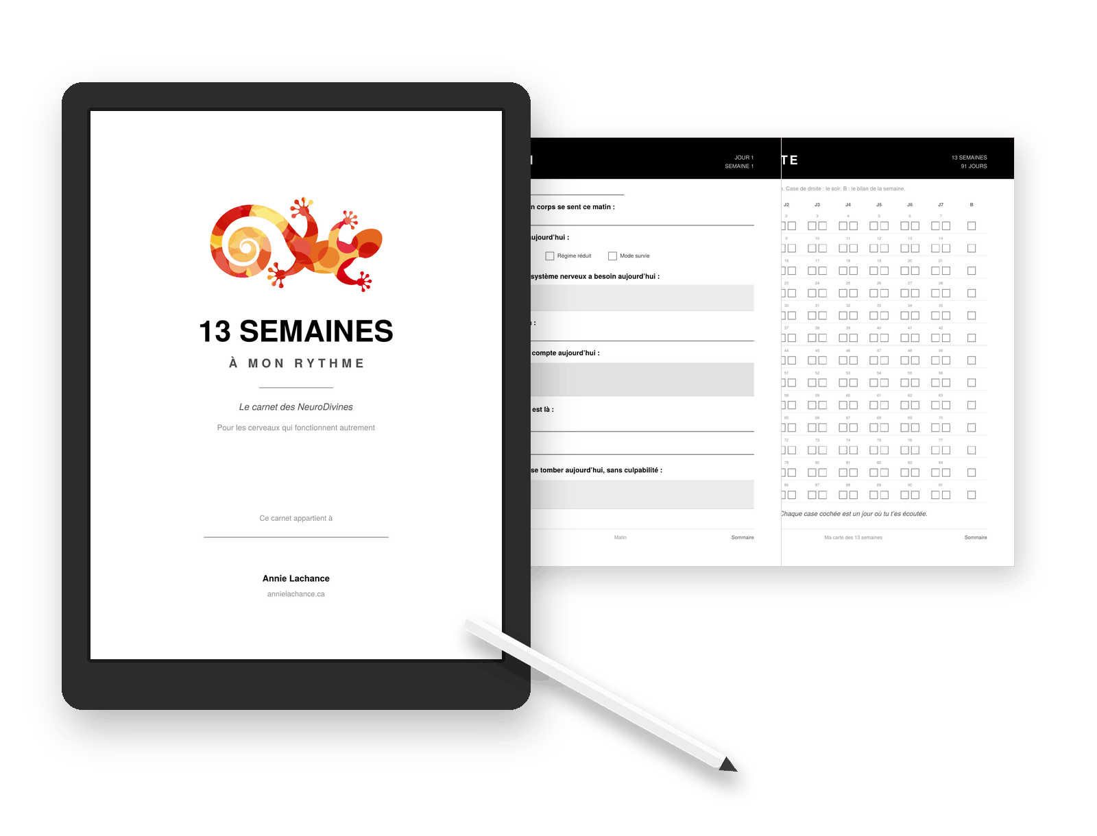 carnet 13 semaines Annie Lachance